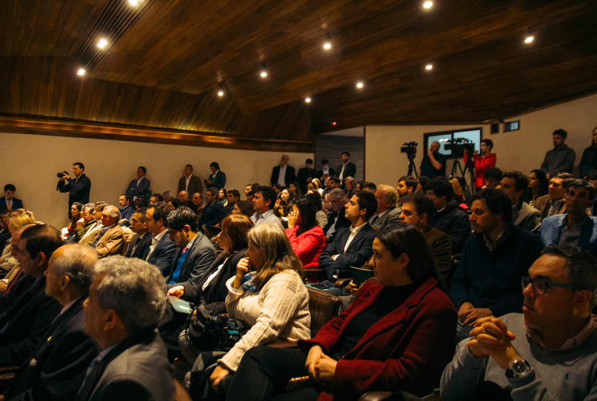 AGRO EN PUNTA