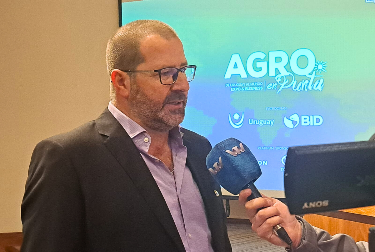 AGRO EN PUNTA