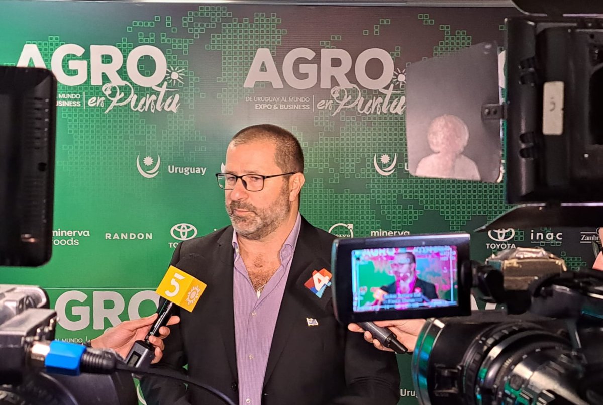 AGRO EN PUNTA